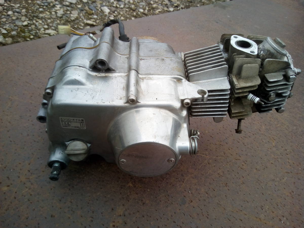 ホンダ HONDA 純正 12V 犬猿の仲!? モンキー ダックス125 検索 