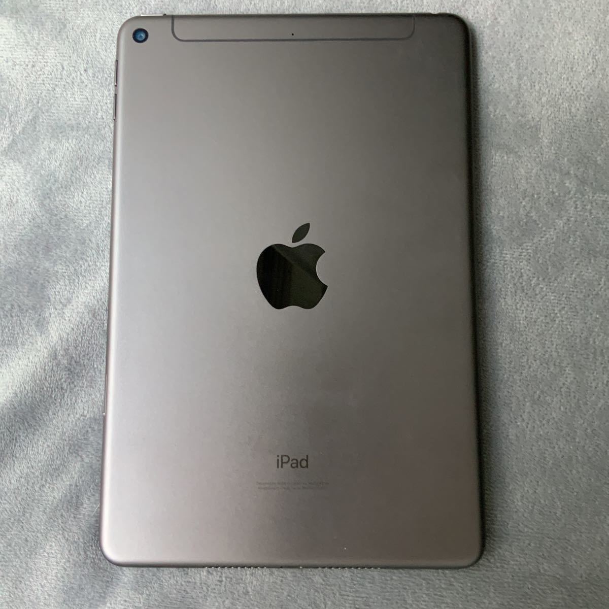 iPad 64GB mini5 SIMフリー mini 0 Cellular SIM Apple セルラー 第5 