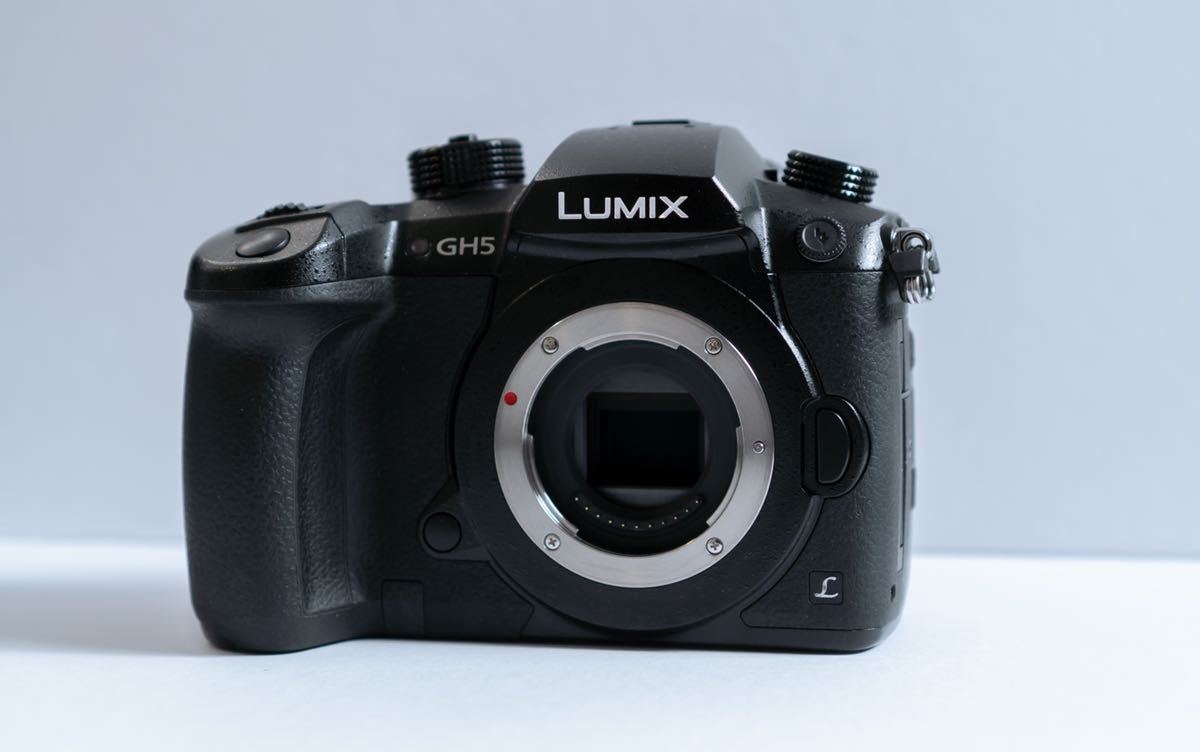 Panasonic LUMIX DC-GH5M 【公式通販】
