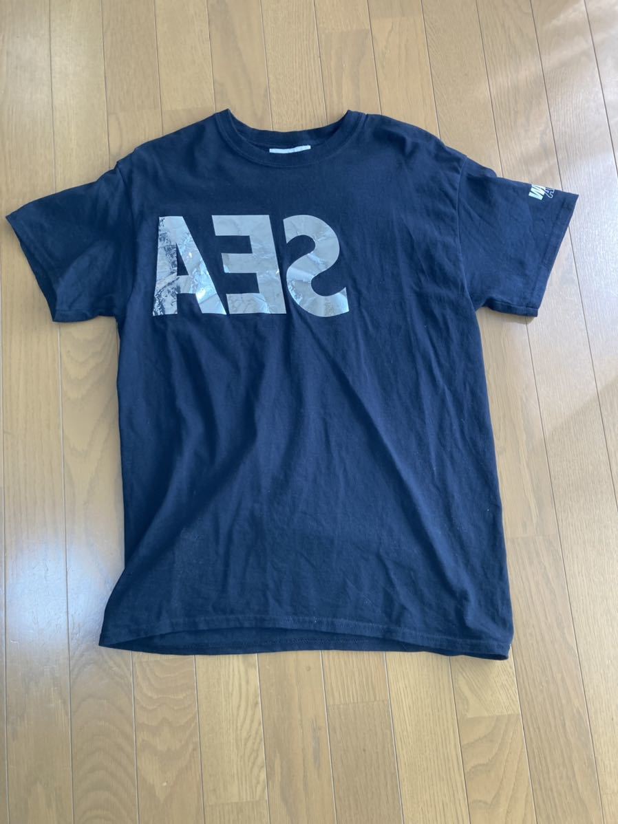 wind and sea メタリック、オーロラ Tシャツ メタリック オーロラ