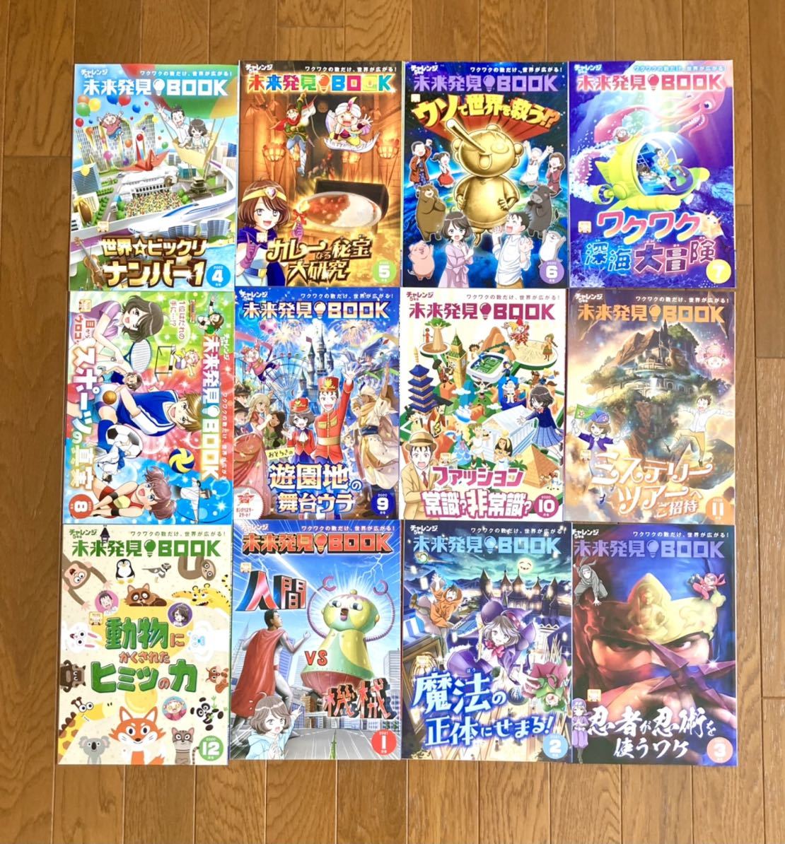 送料無料 未使用多数 / チャレンジ 5年生 / 参考書 付録 まとめ セット