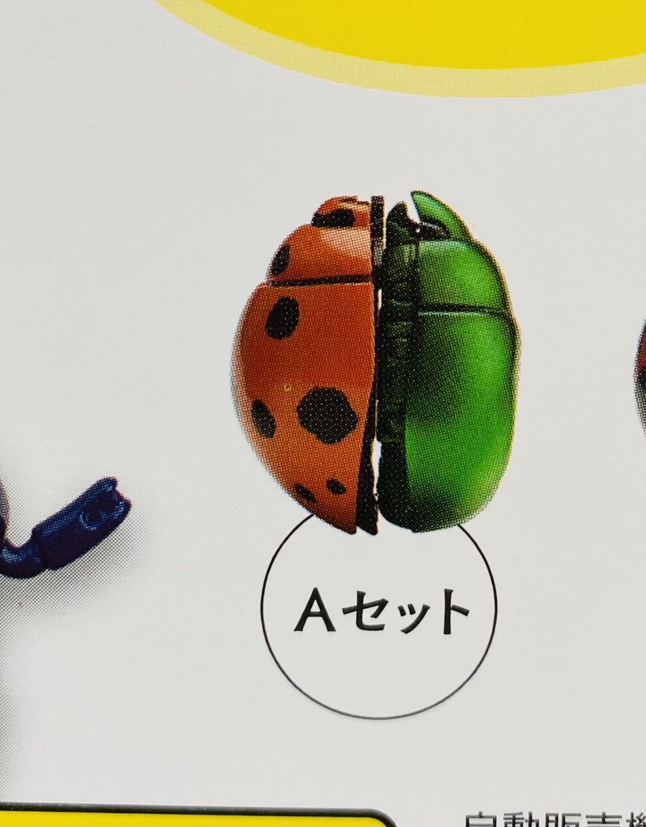 低価格 レポート エックス ファイル 期右虫 3匹セット キャラクターグッズ V Pravda Ru 低価格 レポート エックス ファイル 期右虫 3匹セット キャラクターグッズ V Pravda Ru