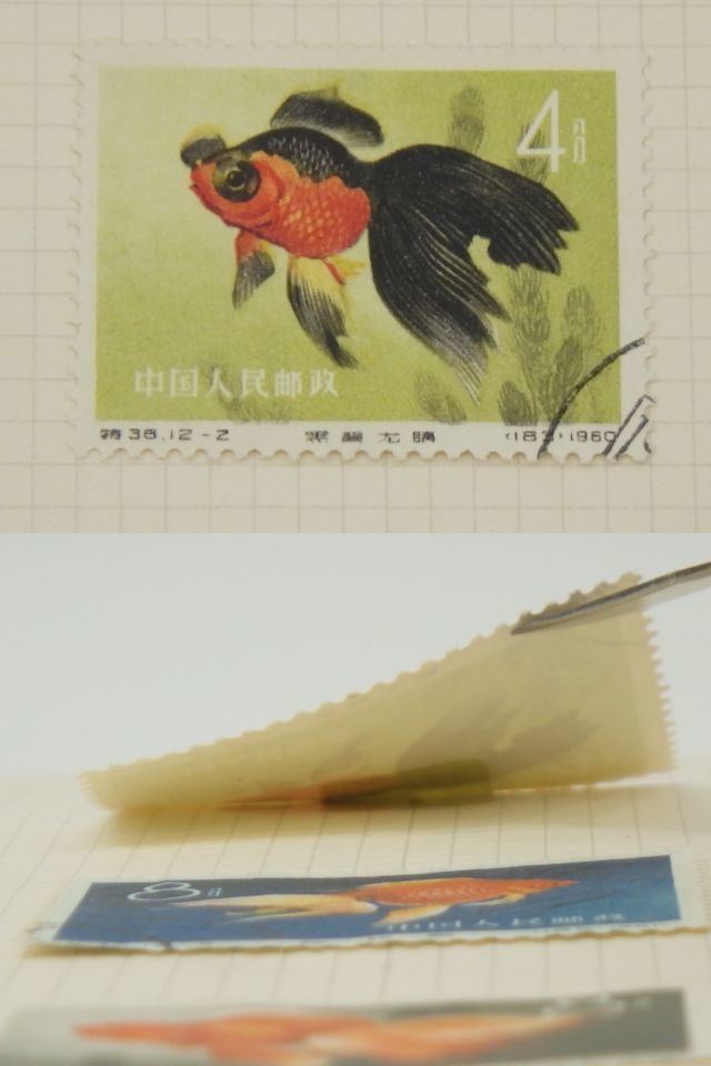 中国切手買取金魚シリーズ切手の買取価格と価値と概要 中国切手『金魚