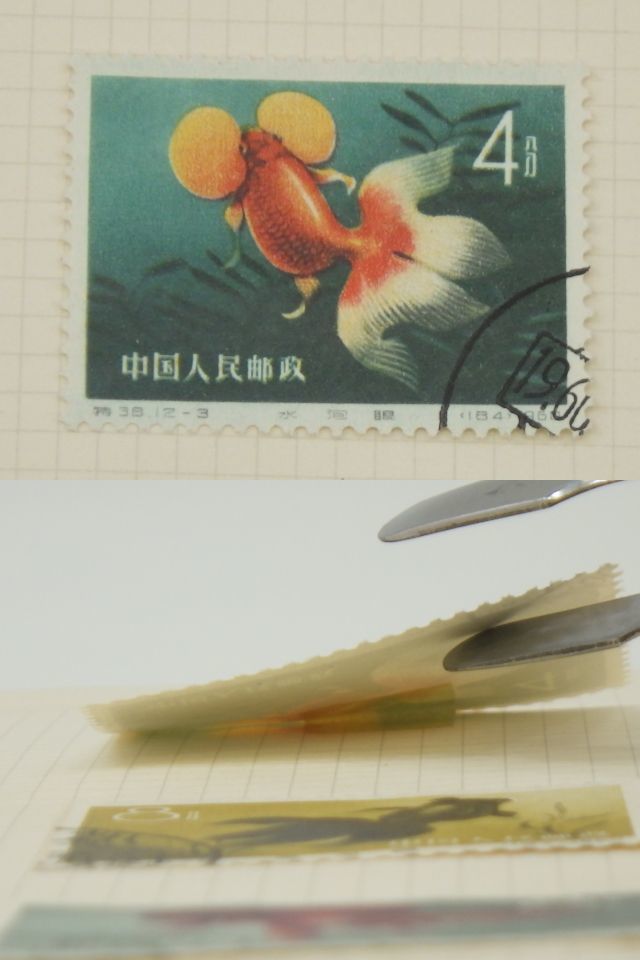中国切手（特38 金魚、使用済み） 中国切手買取金魚シリーズ切手の買取価格と価値と概要 中国切手『金魚