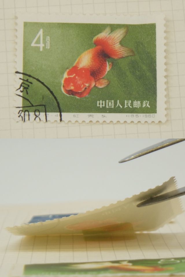 中国切手買取金魚シリーズ切手の買取価格と価値と概要 中国切手『金魚