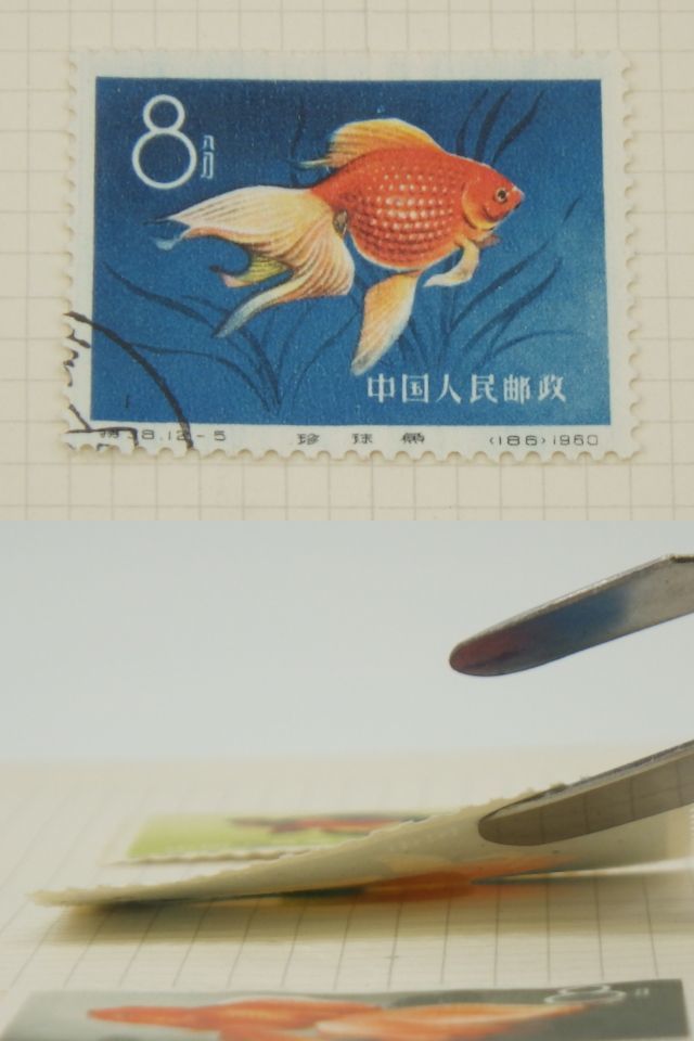 中国切手買取金魚シリーズ切手の買取価格と価値と概要 中国切手『金魚