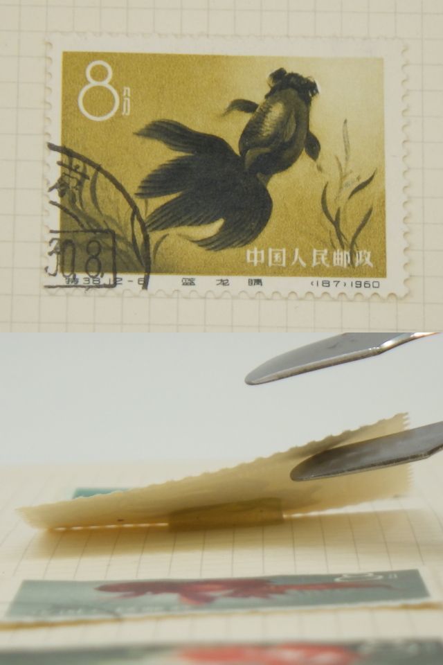 中国切手買取金魚シリーズ切手の買取価格と価値と概要 中国切手『金魚