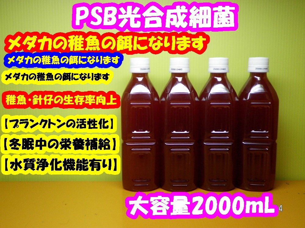 psb光合成細菌 メダカ稚魚の餌 大容量2000ml 500ml 4 生きたバクテリア バクテリア 売買されたオークション情報 Yahooの商品情報をアーカイブ公開 オークファン Aucfan Com psb光合成細菌 メダカ稚魚の餌 大容量2000ml 500ml 4 生きたバクテリア バクテリア 売買されたオークション情報 Yahooの商品情報をアーカイブ公開 オークファン Aucfan Com