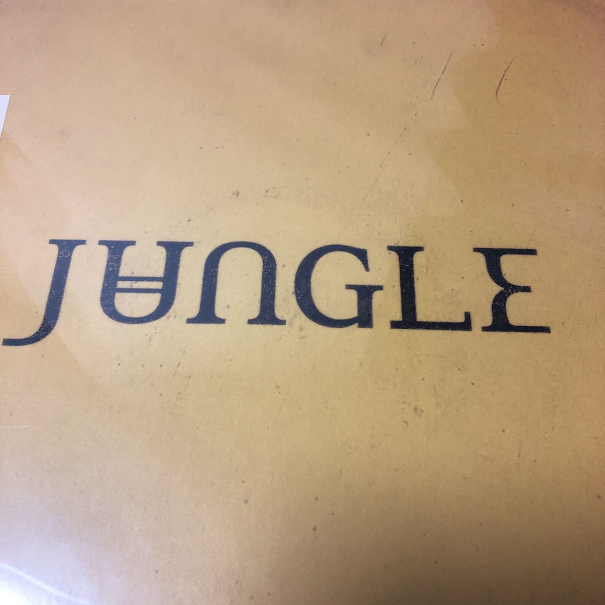 数量限定，限定SALE 極 Jungle / For Ever LP Colored Vinyl(ロック、ポップス（洋楽）)｜売買されたオークション情報、yahooの商品情報をアーカイブ公開 - オークファン その他