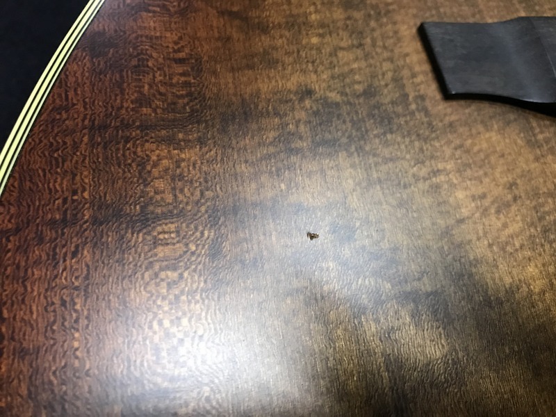 K.yairi YW800 CUSTOM 1983 ヤイリギター アコギ レア　N1500+_8