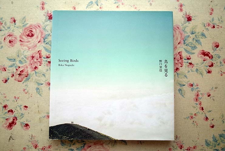 品質保証，100%新品 10183/野口里佳 作品集 鳥を見る Seeing Birds Rika Noguchi 2001年 初版 河出書房新社 写真集(アート写真)｜売買されたオークション情報、yahooの商品情報をアーカイブ公開 - オークファン アート写真