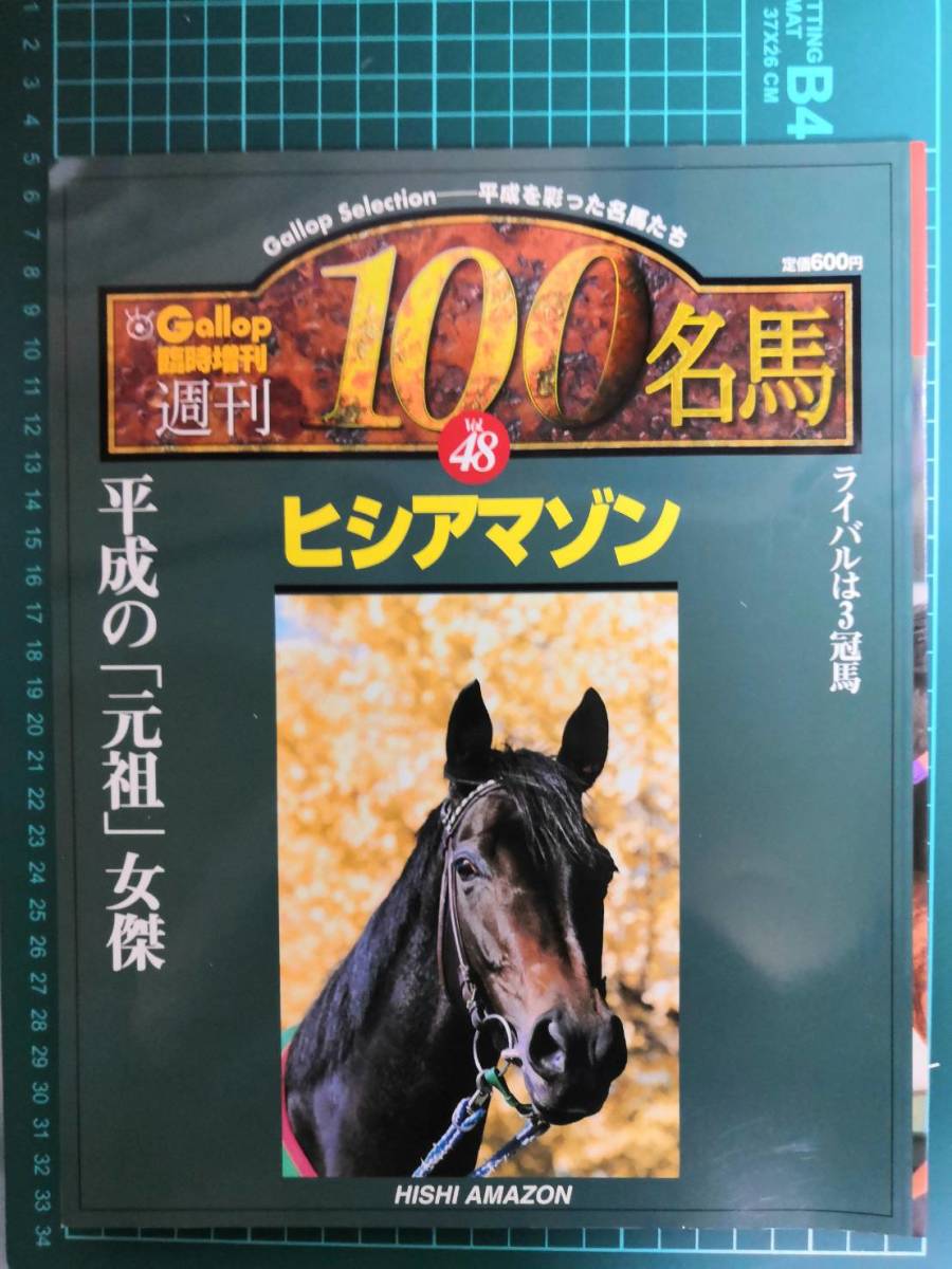 競馬 Gallop 100名馬 96 以上節約 100名馬