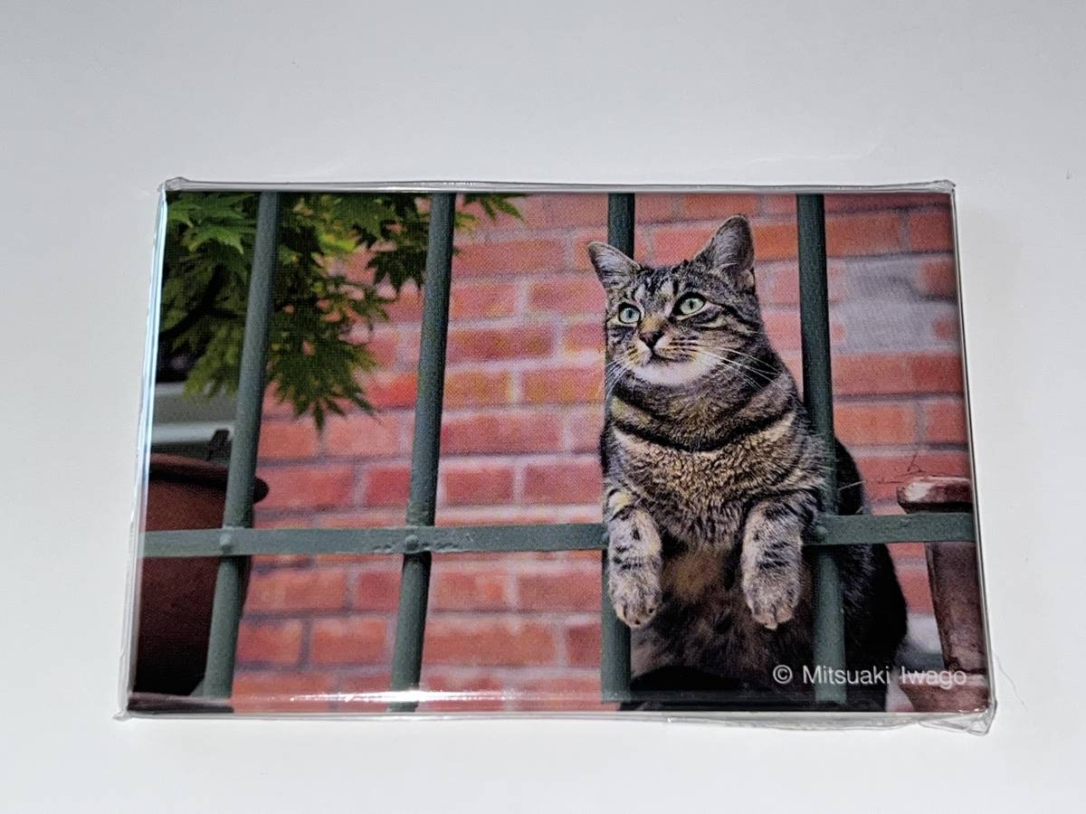 岩合光昭 角マグネット パリメイン 世界ネコ歩き 猫 ねこ ネコ 磁石 グッズ キジトラ 磁石 売買されたオークション情報 Yahooの商品情報をアーカイブ公開 オークファン Aucfan Com 岩合光昭 角マグネット パリメイン 世界ネコ歩き 猫 ねこ ネコ 磁石 グッズ キジトラ 磁石 売買されたオークション情報 Yahooの商品情報をアーカイブ公開 オークファン Aucfan Com