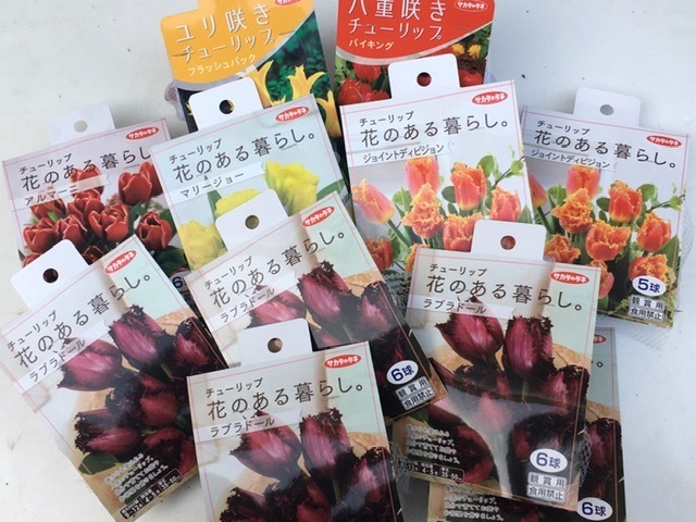 1円スタート チューリップ球根b 変わり咲き等6品種11袋 処分 これ 最後 チューリップ 売買されたオークション情報 Yahooの商品情報をアーカイブ公開 オークファン Aucfan Com 1円スタート チューリップ球根b 変わり咲き等6品種11袋 処分 これ 最後 チューリップ 売買されたオークション情報 Yahooの商品情報をアーカイブ公開 オークファン Aucfan Com