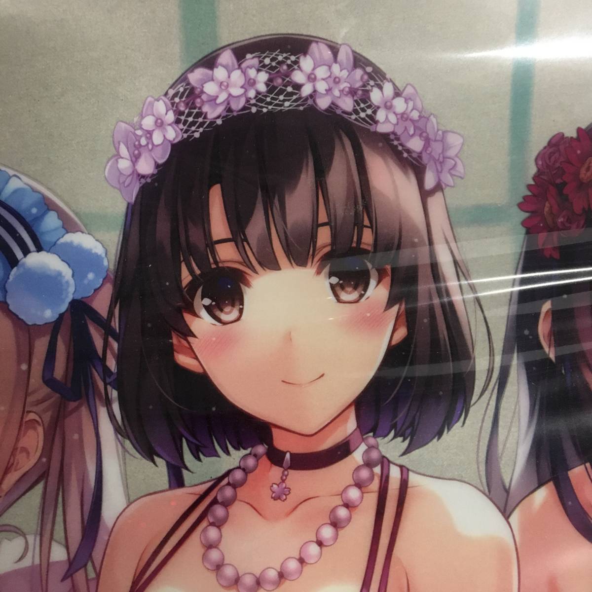 冴えない彼女の育てかた A3 クリアポスター 加藤恵 英梨々 霞ヶ丘詩羽 第1巻 購入特典 冴えカノ 21 1224 01 コミック アニメグッズ 売買されたオークション情報 Yahooの商品情報をアーカイブ公開 オークファン Aucfan Com