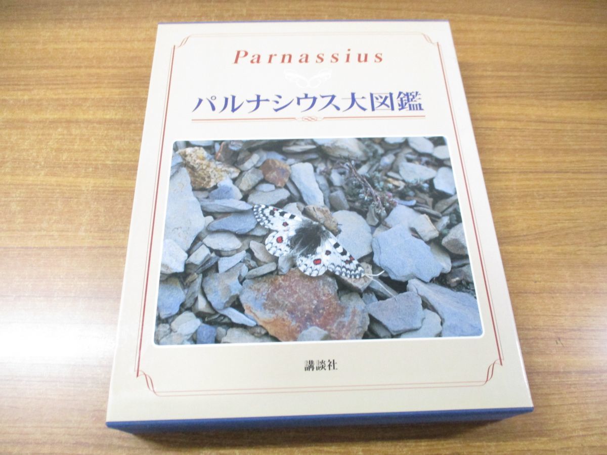 通販 |本 ⁄ ぼうずコンニャク 藤原 - : ~プロもビックリ!!~ 昌高