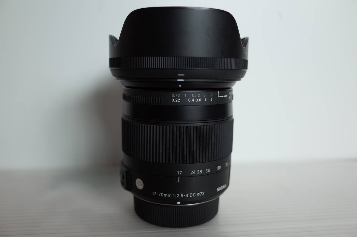 Sigma DC 17-70mm Macro OS HSM Review f⁄2.8-4 Lens Contemporary F⁄