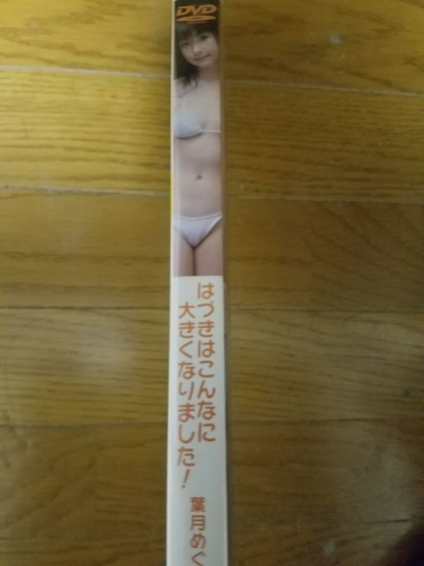 【赤字超特価，低価】 DVD 葉月めぐ はづきはこんなに大きくなりました(は行)｜売買されたオークション情報、yahooの商品情報をアーカイブ公開 - オークファン は行