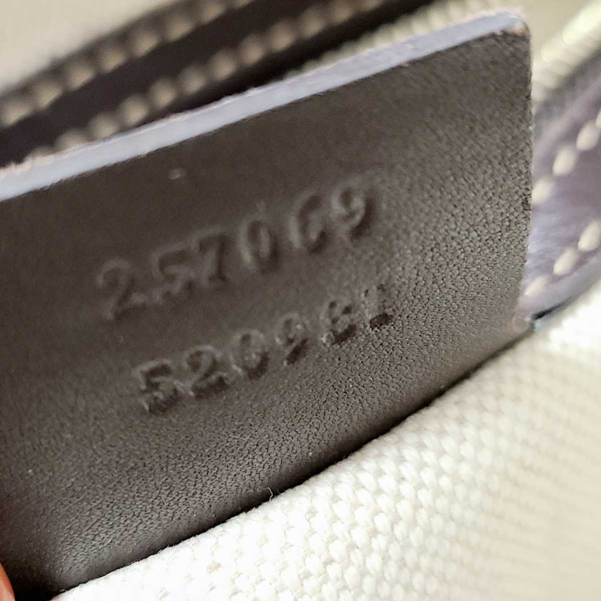 グッチ GUCCI GGキャンバス GG柄 長財布 ラブリーハート ハート レザー ハンドバッグ キャンバス×レザー ハートビット Wホック ホワイト バッグGUCCI キャンバス 245727の買取実績