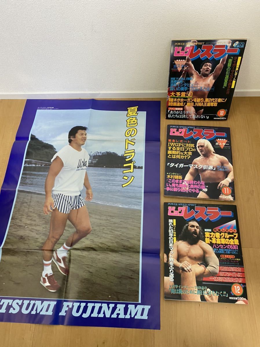 雑誌 ビッグレスラー 1983年2月～12月号 ポスターあり タイガー
