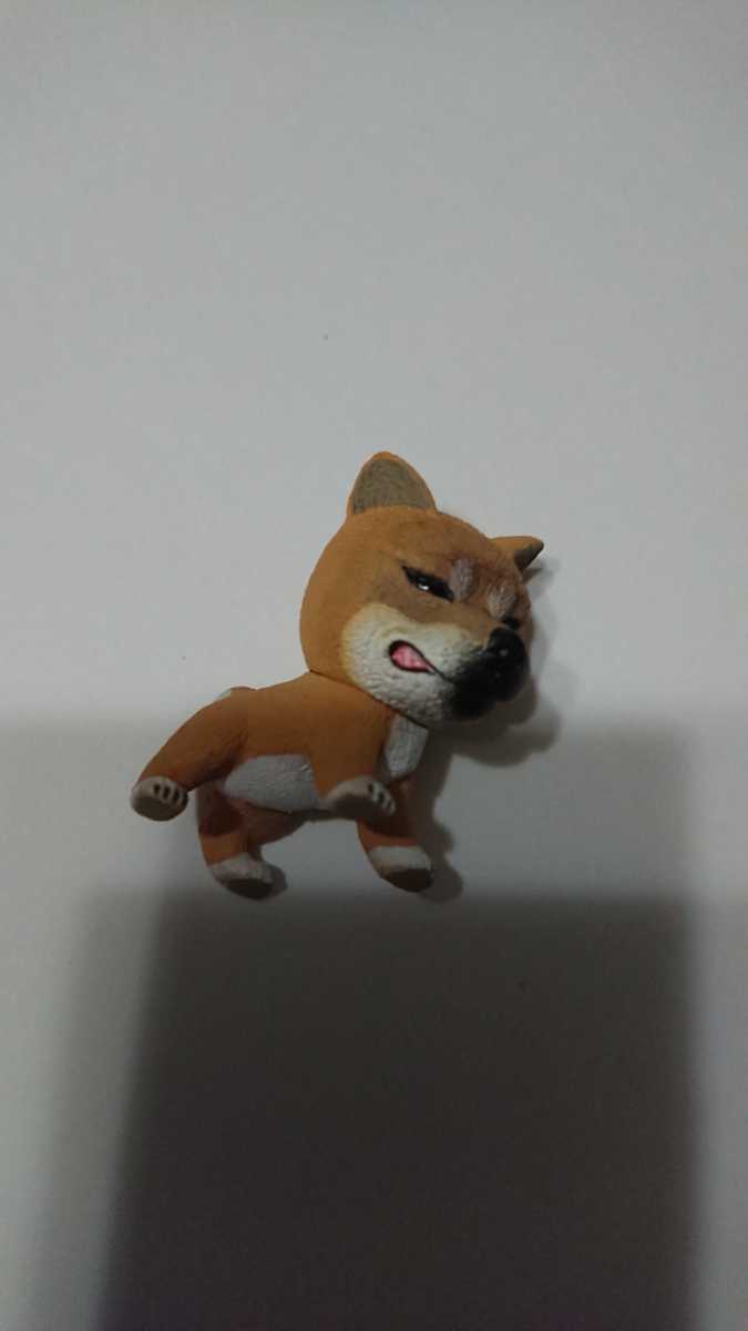 ガチャ 野生の証 イヌ カプセルトイ フィギュア ミニチュア 柴犬 怒った顔 生き物 売買されたオークション情報 Yahooの商品情報をアーカイブ公開 オークファン Aucfan Com