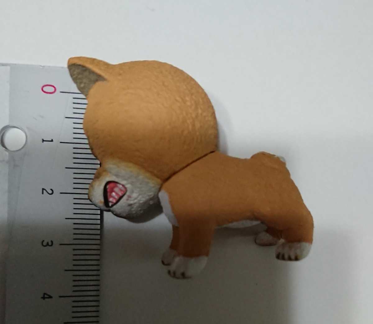 ガチャ 野生の証 イヌ カプセルトイ フィギュア ミニチュア 柴犬 怒った顔 生き物 売買されたオークション情報 Yahooの商品情報をアーカイブ公開 オークファン Aucfan Com