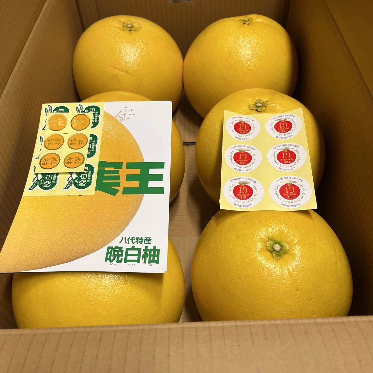 ■愛媛の不知火20k箱■除草剤使用無　万田酵素散布■家庭用■ 野菜、果物 □愛媛の不知火□家庭用□除草剤使用無 万田酵素