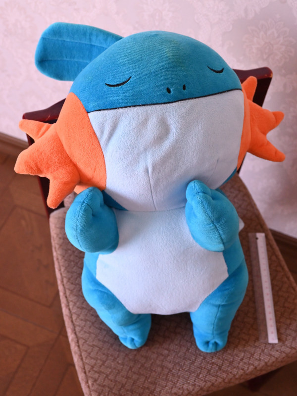 ぬいぐるみ ミズゴロウ ポケットモンスター 売買されたオークション情報 Yahooの商品情報をアーカイブ公開 オークファン Aucfan Com