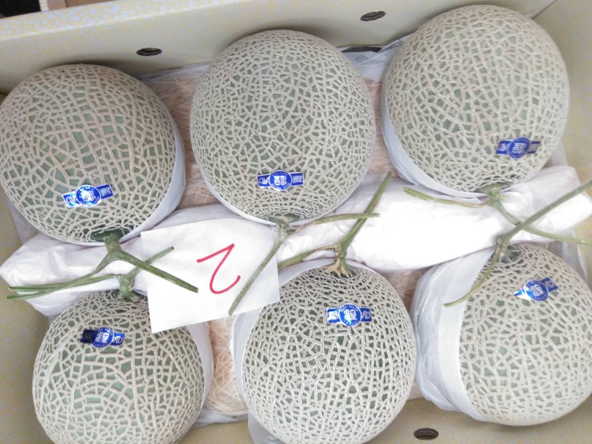 高知県 高級温室マスクメロン2玉入り！高知産：ご家庭用高知の 家庭用 