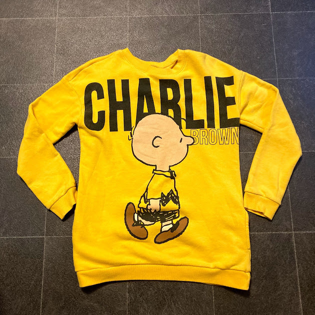 【限定SALE，最新作】 レア ビンテージ チャーリーブラウン スエットシャツ ポケット付き SNOOPY(Lサイズ)｜売買されたオークション情報、yahooの商品情報をアーカイブ公開 - オークファン Lサイズ