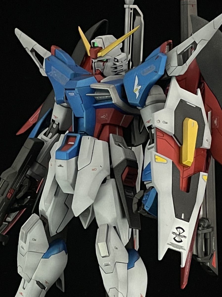 ガンプラ】 MG 1/100 デスティニーガンダム 【塗装済完成品】 【公式通販】