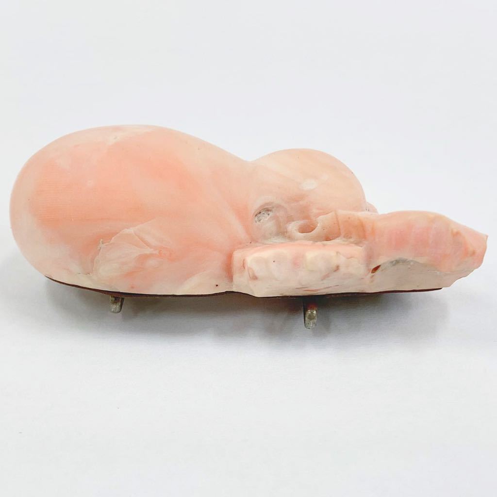 珊瑚 帯留 本珊瑚 サンゴ コーラル 和装小物 帯留め ルース 天然 瓢箪  