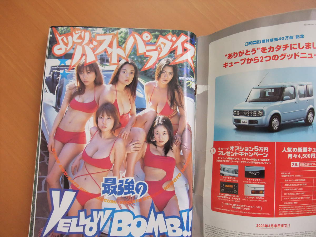 よりどりバストパラダイス イエローキャブグラビア MEGUMI 小池栄子