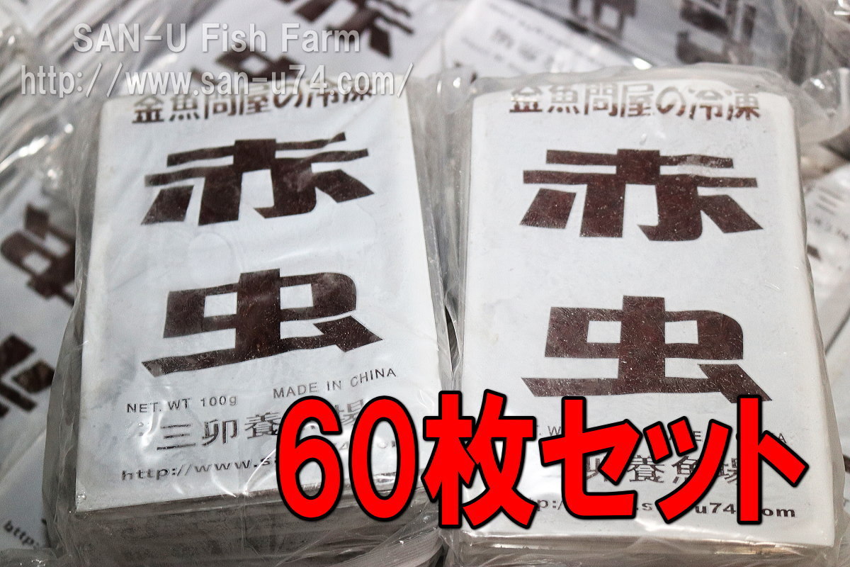 爆買い，低価60枚 金魚問屋の冷凍赤虫100g&times;60枚セット 板チョコタイプ アカムシ レッドワーム 金魚 熱帯魚 らんちゅう 冷凍便 お届け(エサ)｜売買されたオークション情報、yahooの商品情報をアーカイブ エサ