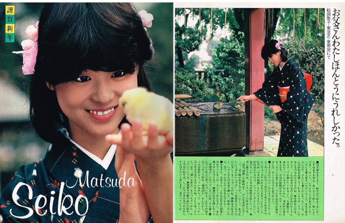 zM48 月刊明星 1981年 昭和56年 河合奈保子 水着ビキニ 松田聖子 榊原 