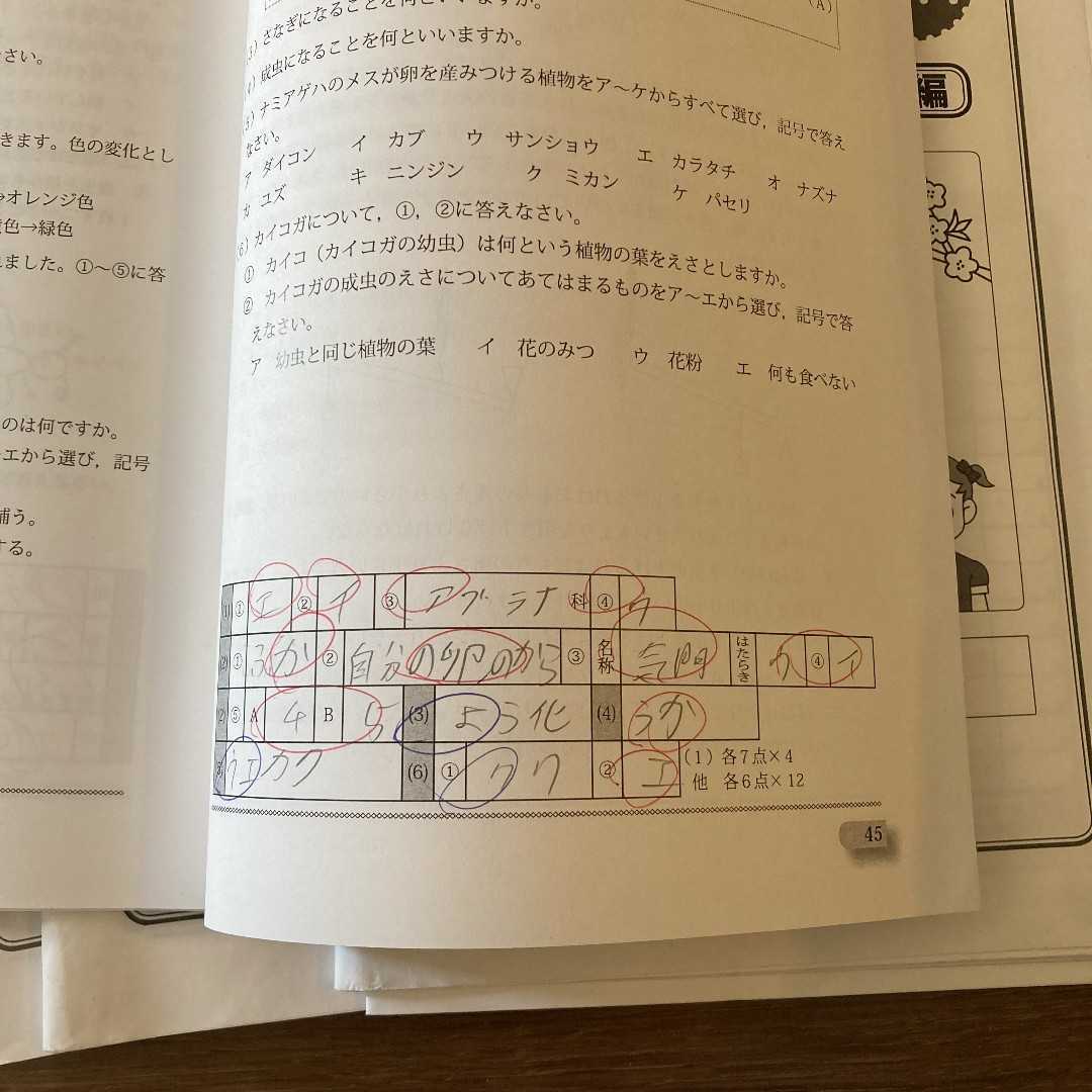 グノーブルの5年基礎力テスト理科 11冊