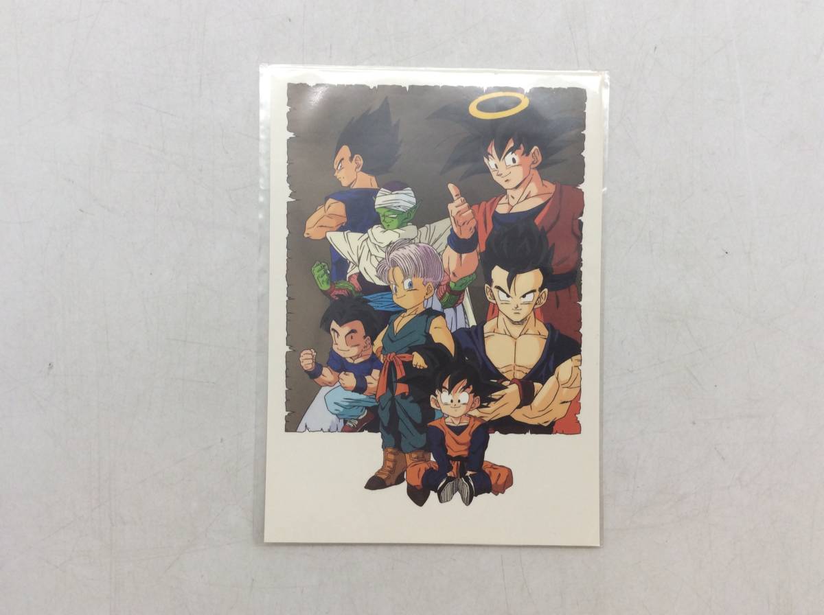 4817 ドラゴンボール ポストカード 当時物 全員集合 その他 売買されたオークション情報 Yahooの商品情報をアーカイブ公開 オークファン Aucfan Com