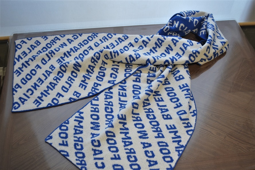 BALENCIAGA バレンシアガ　大判ロゴマフラー　ネイビー&ホワイト BALENCIAGA × WORLD FOOD PROGRAMME(WFP) バレンシアガ × 国連世界食糧