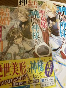 角川ビーンズのヤフオク の相場 価格を見る ヤフオク の角川ビーンズのオークション売買情報は75件が掲載されています