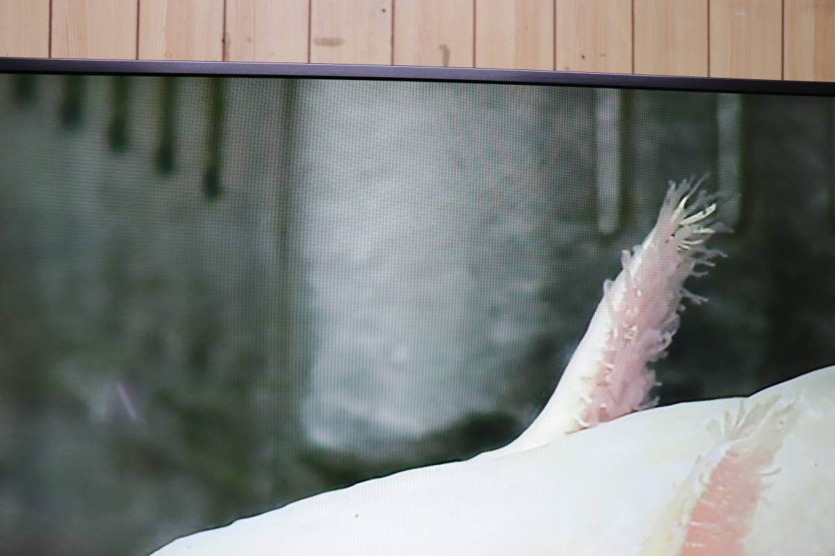 YKD/027 SONY ソニー BRAVIA KJ-65X8550H 4K 液晶 テレビ 65V型 2020年