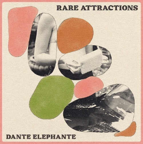 【人気，お買い得】 DANTE ELEPHANTE / RARE ATTRACTIONS 輸入LP(その他)｜売買されたオークション情報、yahooの商品情報をアーカイブ公開 - オークファン D