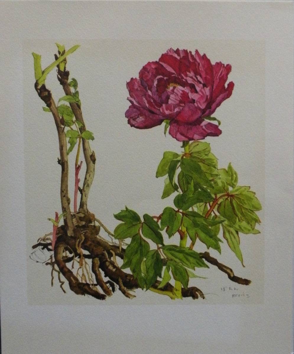 小磯良平、くず、高級薬用植物画、版上サイン入り、新品額付