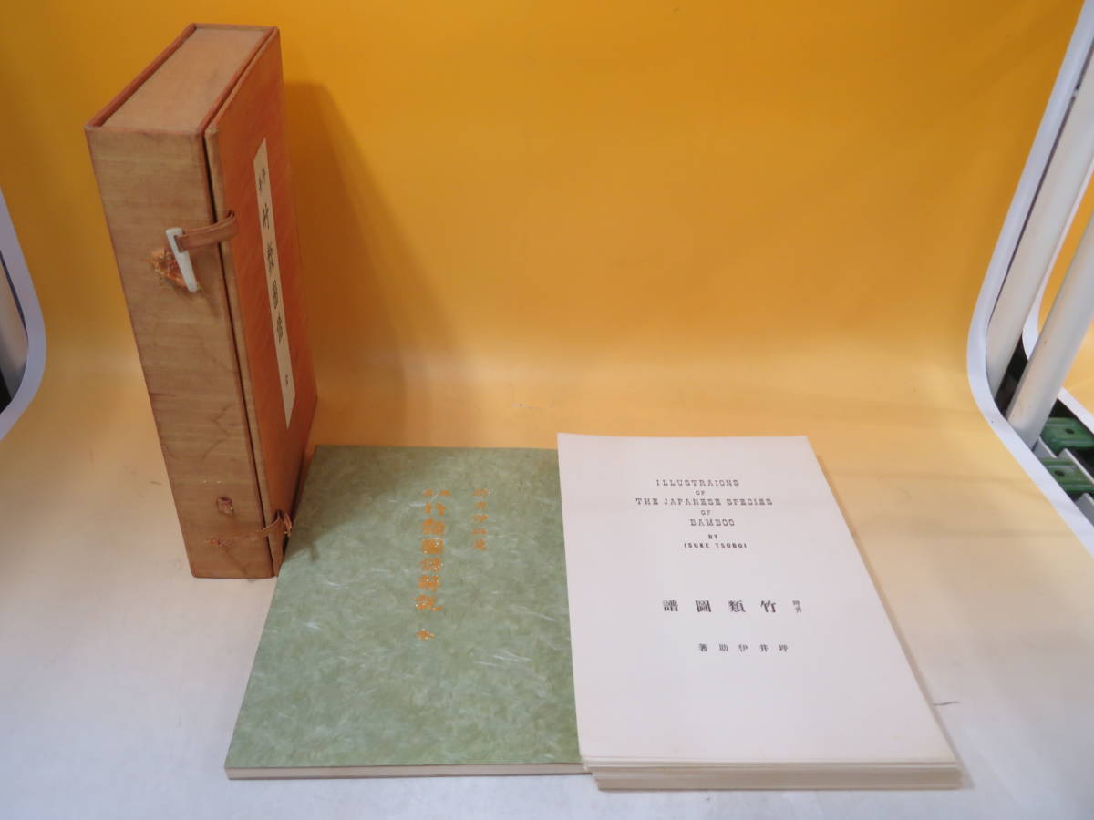 中古】 坪井 竹類図譜 復刻版 図版109葉 解説書 昭和52年2月発行 坪井 