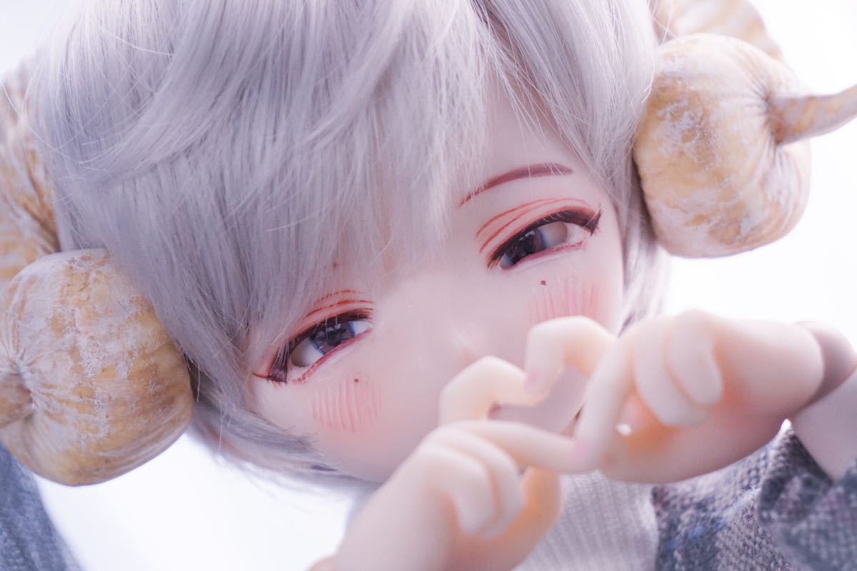 DDH-10 SW肌 カスタムヘッド(ソフビ盛り)＋おまけアイ1種 MDD 難あり 