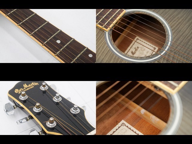 Pro Martin EA500W WRS エレアコ