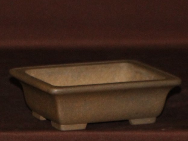 【玉芳庵】【松泉焼山秋39】〈窯変外縁長方14cm〉上質の胎土!小松泉作/黒松*真柏*山野草*獅子頭*清玄*出猩々*石化桧*一位*岩千鳥!