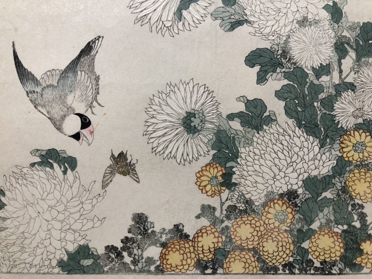 木版画 明治時代 葛飾北斎 菊 文鳥に虻 齢七十八画狂老人卍筆 浮世絵