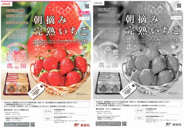 | EPSON エプソン DS-510 シートフィードスキャナー com: Products A4ドキュメントスキャナー Office Scanner Feed : Sheet - スキャナー (シートフィード&frasl;A4両面&frasl;Wi-Fi対応)