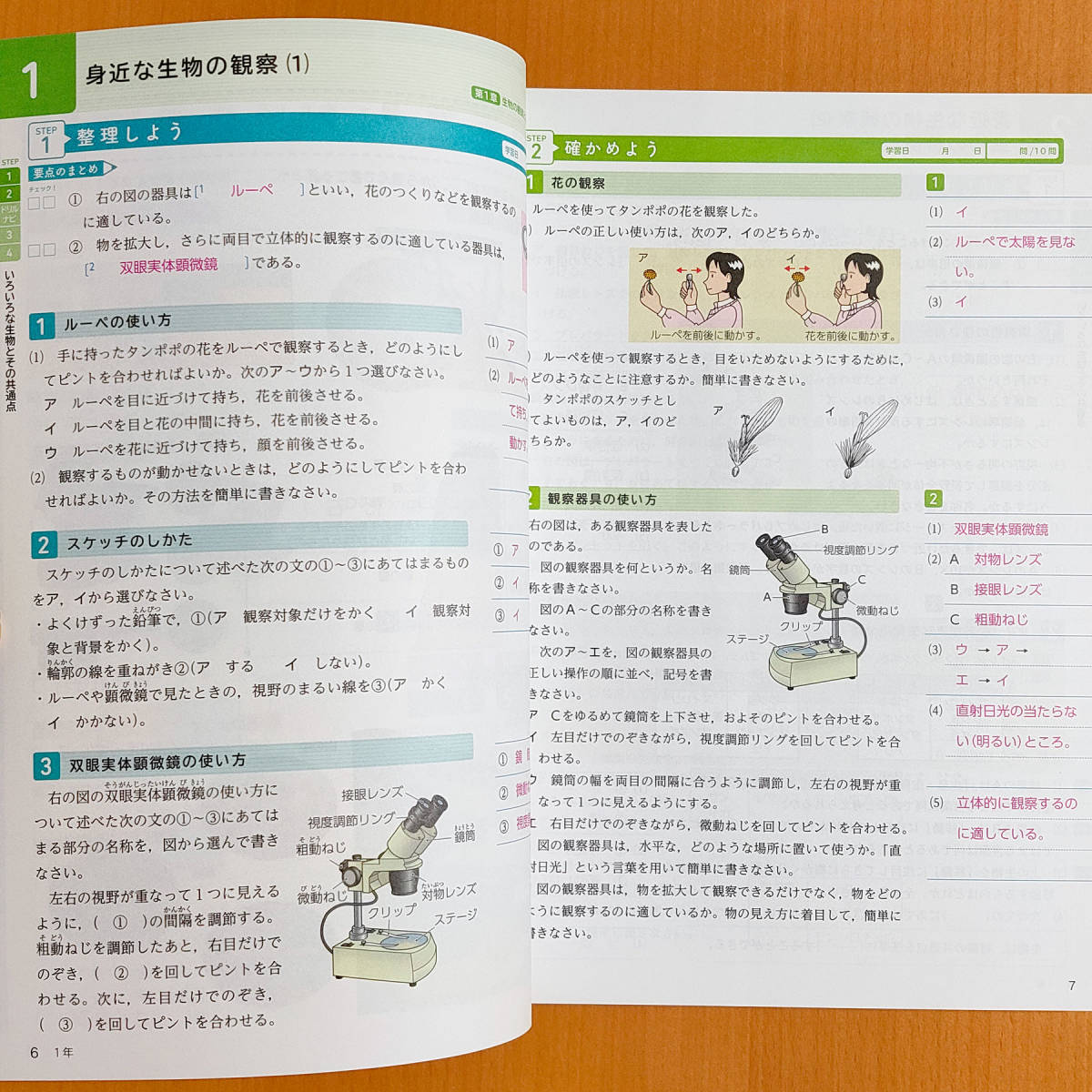 令和4年対応 新学習指導要領 理科の完全学習 1年 標準版 東京書籍 教師用 解答と解説 付 正進社 答え 理科ワーク 東 東書 標準 標 教科書準拠 売買されたオークション情報 Yahooの商品情報をアーカイブ公開 オークファン Aucfan Com