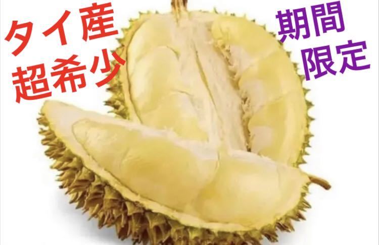 1点のみ限定 激レア 贈答高級品タイ産 プレミアム新鮮ドリアン Lサイズ
